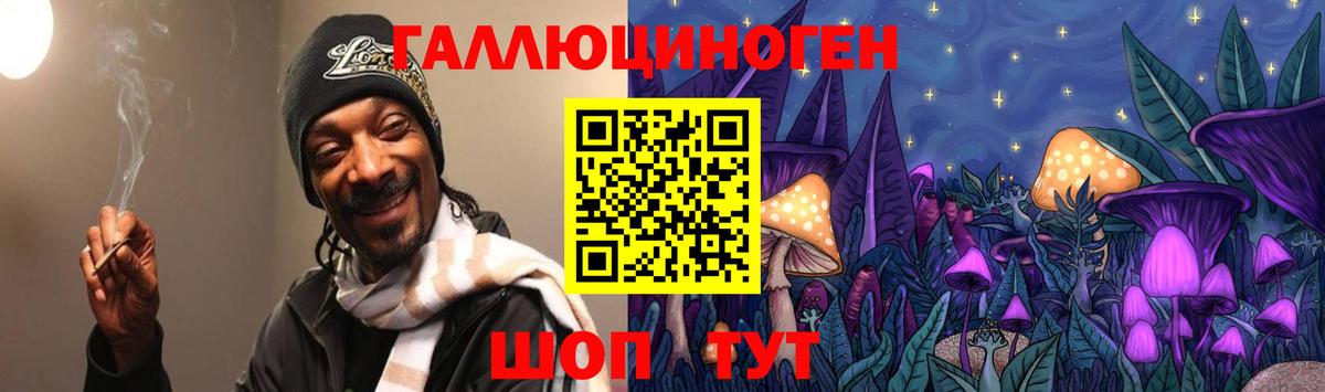 Лесной  Псилоцибиновые грибы прущие грибы  Вход с VPN 